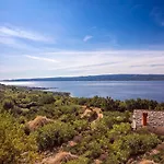 Dahlia *